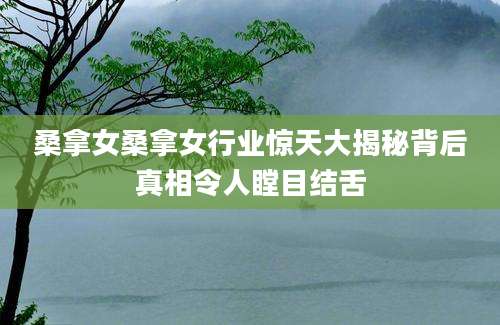 桑拿女桑拿女行业惊天大揭秘背后真相令人瞠目结舌