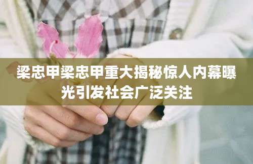 梁忠甲梁忠甲重大揭秘惊人内幕曝光引发社会广泛关注
