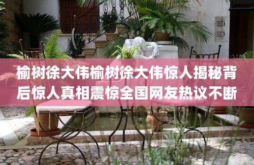 榆树徐大伟榆树徐大伟惊人揭秘背后惊人真相震惊全国网友热议不断