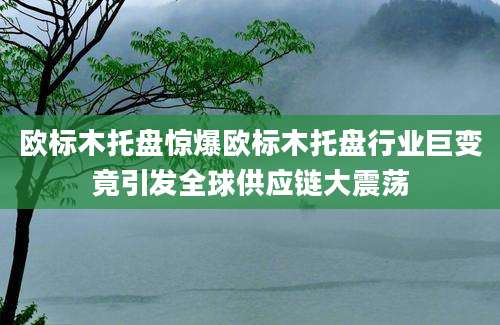 欧标木托盘惊爆欧标木托盘行业巨变竟引发全球供应链大震荡