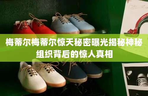 梅蒂尔梅蒂尔惊天秘密曝光揭秘神秘组织背后的惊人真相