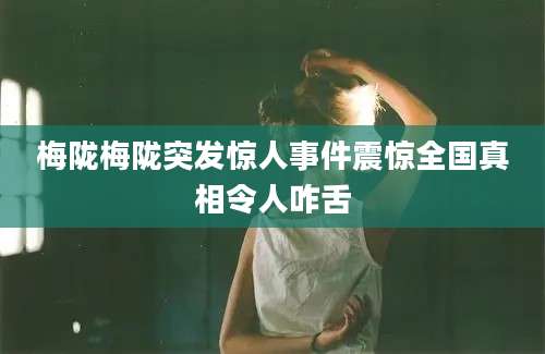 梅陇梅陇突发惊人事件震惊全国真相令人咋舌