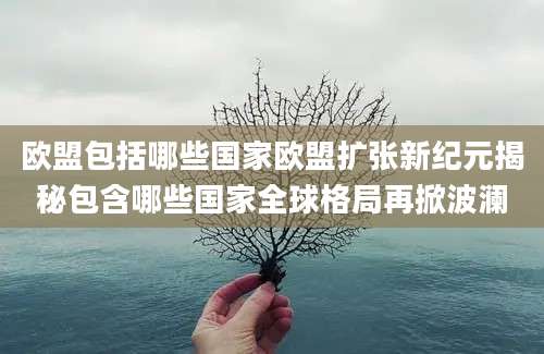 欧盟包括哪些国家欧盟扩张新纪元揭秘包含哪些国家全球格局再掀波澜