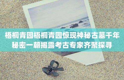 梧桐青园梧桐青园惊现神秘古墓千年秘密一朝揭露考古专家齐聚探寻