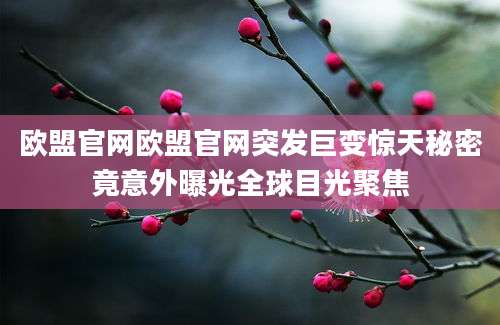 欧盟官网欧盟官网突发巨变惊天秘密竟意外曝光全球目光聚焦