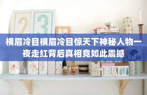 横眉冷目横眉冷目惊天下神秘人物一夜走红背后真相竟如此震撼