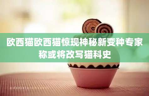 欧西猫欧西猫惊现神秘新变种专家称或将改写猫科史