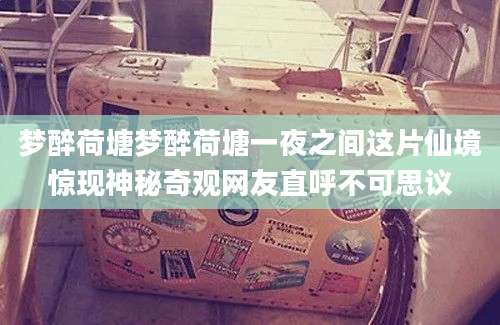 梦醉荷塘梦醉荷塘一夜之间这片仙境惊现神秘奇观网友直呼不可思议