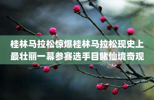 桂林马拉松惊爆桂林马拉松现史上最壮丽一幕参赛选手目睹仙境奇观