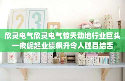 欣灵电气欣灵电气惊天动地行业巨头一夜崛起业绩飙升令人瞠目结舌