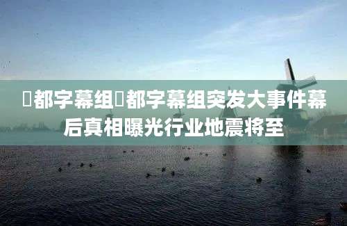 桜都字幕组桜都字幕组突发大事件幕后真相曝光行业地震将至