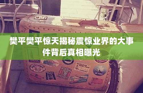 樊平樊平惊天揭秘震惊业界的大事件背后真相曝光