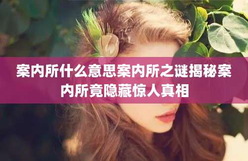 案内所什么意思案内所之谜揭秘案内所竟隐藏惊人真相