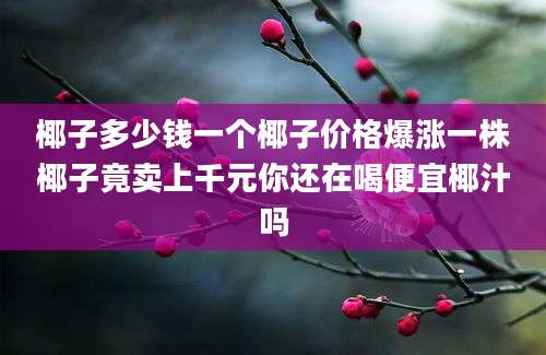 椰子多少钱一个椰子价格爆涨一株椰子竟卖上千元你还在喝便宜椰汁吗