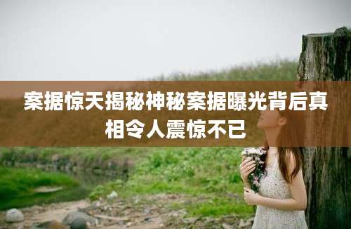 案据惊天揭秘神秘案据曝光背后真相令人震惊不已