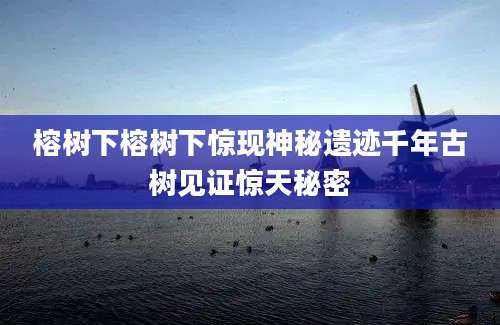 榕树下榕树下惊现神秘遗迹千年古树见证惊天秘密
