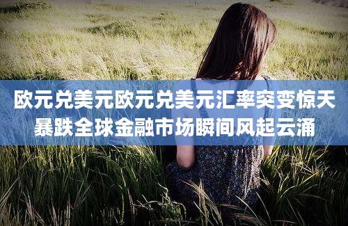 欧元兑美元欧元兑美元汇率突变惊天暴跌全球金融市场瞬间风起云涌