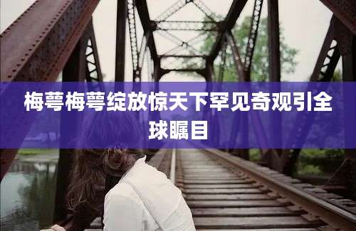 梅萼梅萼绽放惊天下罕见奇观引全球瞩目
