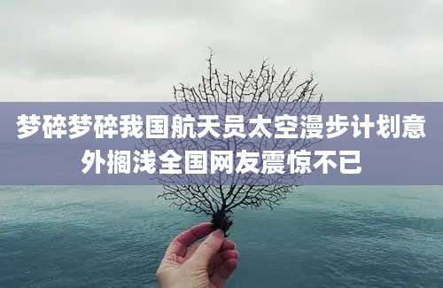 梦碎梦碎我国航天员太空漫步计划意外搁浅全国网友震惊不已