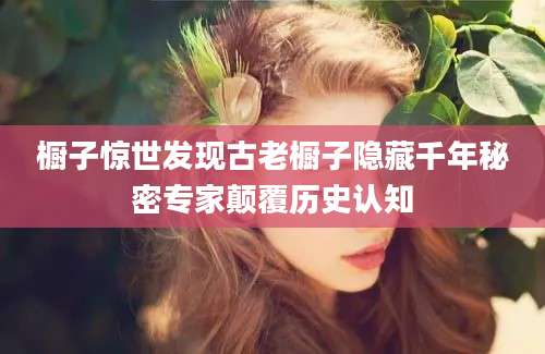 橱子惊世发现古老橱子隐藏千年秘密专家颠覆历史认知