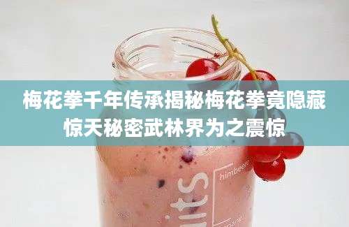 梅花拳千年传承揭秘梅花拳竟隐藏惊天秘密武林界为之震惊