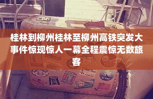 桂林到柳州桂林至柳州高铁突发大事件惊现惊人一幕全程震惊无数旅客