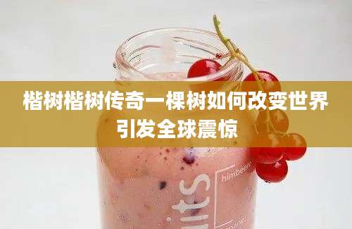 楷树楷树传奇一棵树如何改变世界引发全球震惊