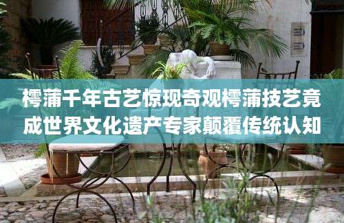 樗蒲千年古艺惊现奇观樗蒲技艺竟成世界文化遗产专家颠覆传统认知
