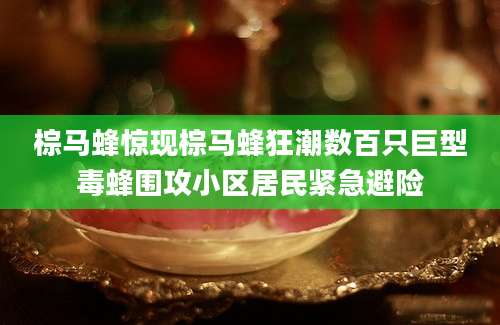 棕马蜂惊现棕马蜂狂潮数百只巨型毒蜂围攻小区居民紧急避险