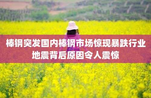 棒钢突发国内棒钢市场惊现暴跌行业地震背后原因令人震惊