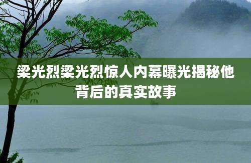 梁光烈梁光烈惊人内幕曝光揭秘他背后的真实故事