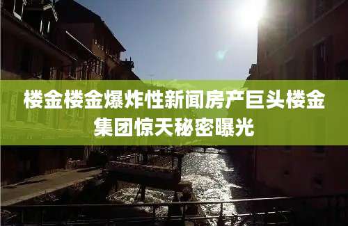 楼金楼金爆炸性新闻房产巨头楼金集团惊天秘密曝光