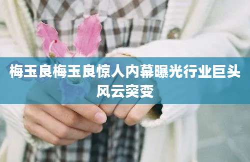 梅玉良梅玉良惊人内幕曝光行业巨头风云突变