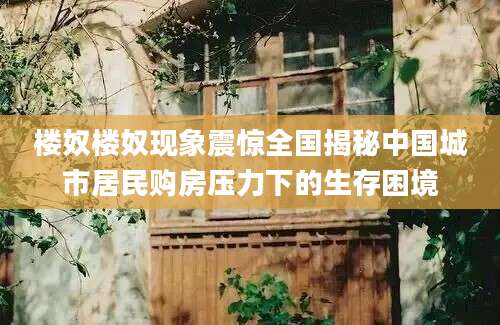 楼奴楼奴现象震惊全国揭秘中国城市居民购房压力下的生存困境