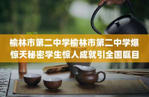 榆林市第二中学榆林市第二中学爆惊天秘密学生惊人成就引全国瞩目