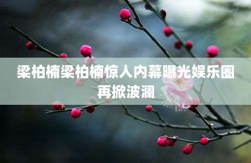 梁柏楠梁柏楠惊人内幕曝光娱乐圈再掀波澜