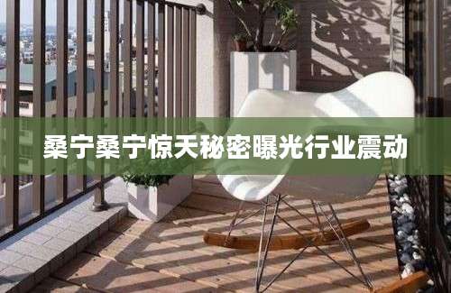 桑宁桑宁惊天秘密曝光行业震动