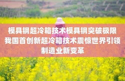 模具钢超冷箱技术模具钢突破极限我国首创新超冷箱技术震惊世界引领制造业新变革