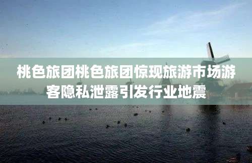桃色旅团桃色旅团惊现旅游市场游客隐私泄露引发行业地震