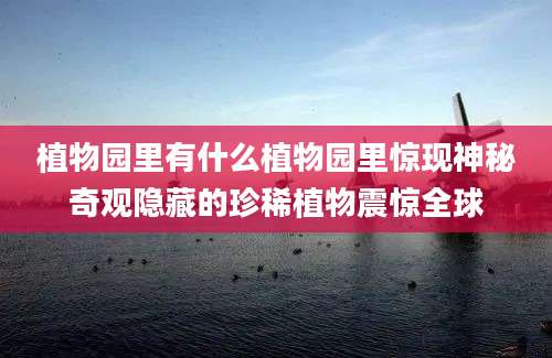 植物园里有什么植物园里惊现神秘奇观隐藏的珍稀植物震惊全球