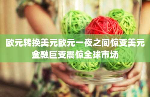 欧元转换美元欧元一夜之间惊变美元金融巨变震惊全球市场