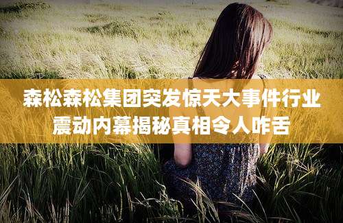 森松森松集团突发惊天大事件行业震动内幕揭秘真相令人咋舌