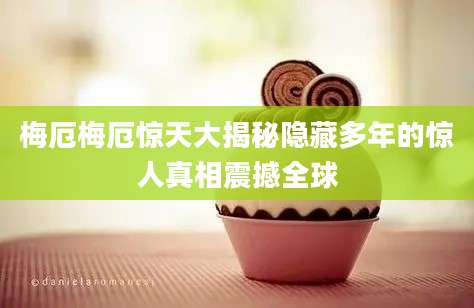 梅厄梅厄惊天大揭秘隐藏多年的惊人真相震撼全球