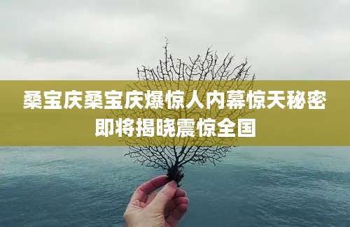 桑宝庆桑宝庆爆惊人内幕惊天秘密即将揭晓震惊全国