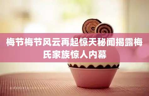 梅节梅节风云再起惊天秘闻揭露梅氏家族惊人内幕