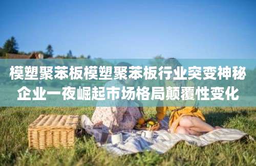 模塑聚苯板模塑聚苯板行业突变神秘企业一夜崛起市场格局颠覆性变化
