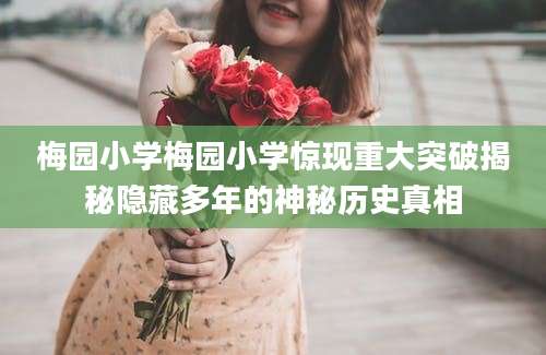 梅园小学梅园小学惊现重大突破揭秘隐藏多年的神秘历史真相