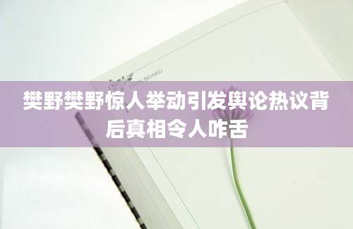樊野樊野惊人举动引发舆论热议背后真相令人咋舌