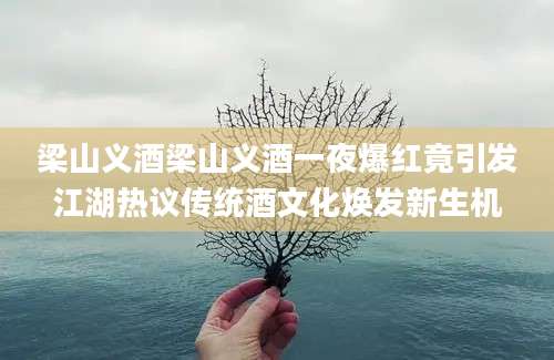 梁山义酒梁山义酒一夜爆红竟引发江湖热议传统酒文化焕发新生机