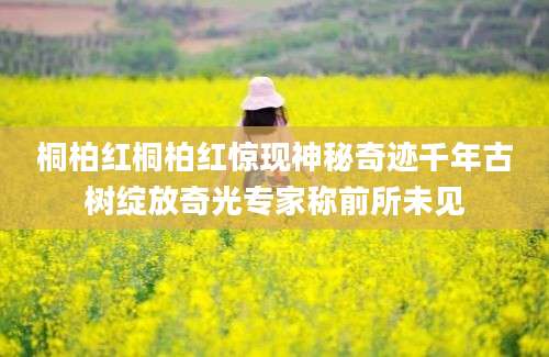 桐柏红桐柏红惊现神秘奇迹千年古树绽放奇光专家称前所未见